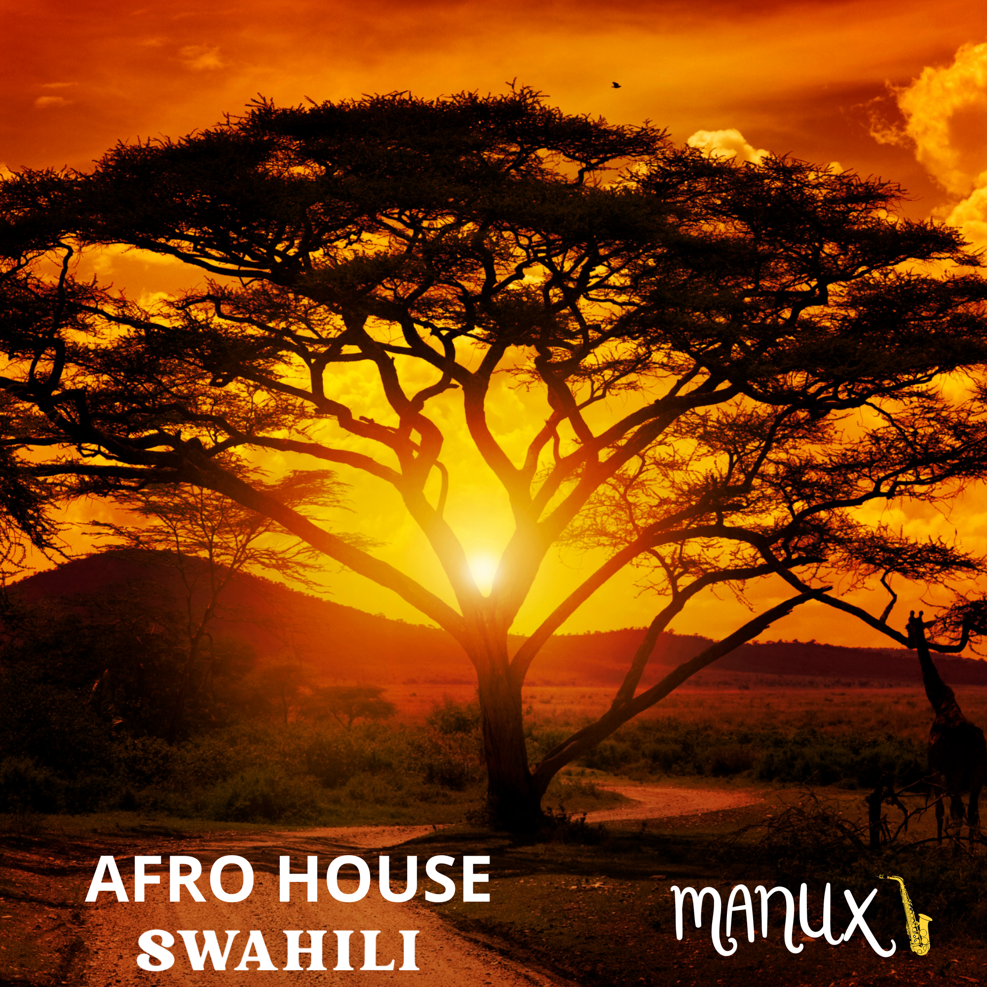 Swahili, nuevo álbum